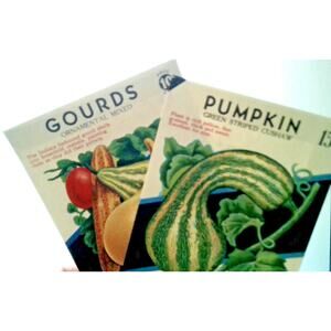 Set Of 2 EMPTY Seed Package Envelopes Halloween Gourds Pumpkin Vintage Lone Star
